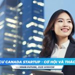 dinh-cu-canada-startup