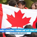 chuong trinh de cu tinh bang pnp