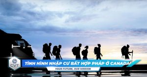 nhap cu bat hop phap o canada